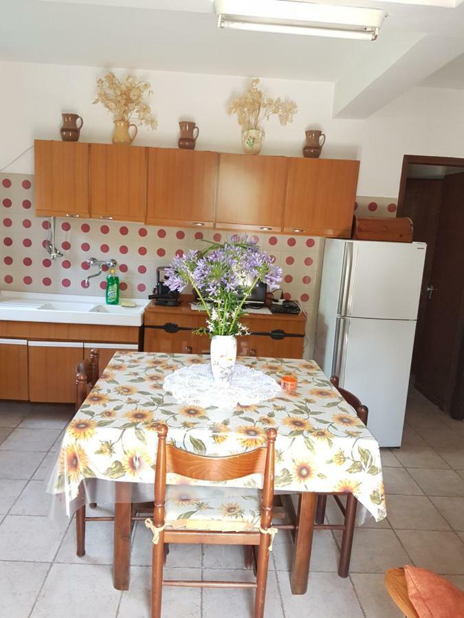 Flowery Tropea Apartment Extérieur photo